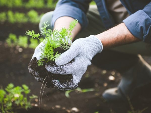 Treasure Gardening: The launch of a circular social enterprise